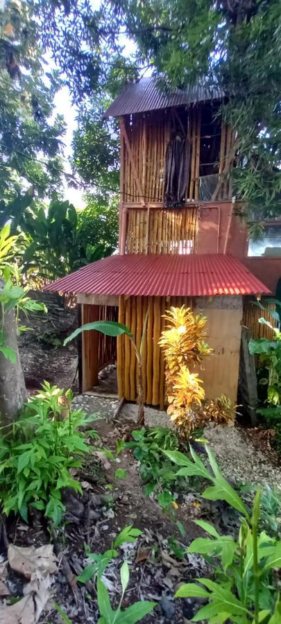 Treehouse Above The Beach Port Antonio Extérieur photo