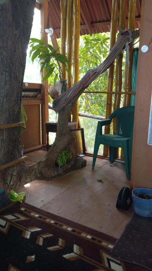Treehouse Above The Beach Port Antonio Extérieur photo