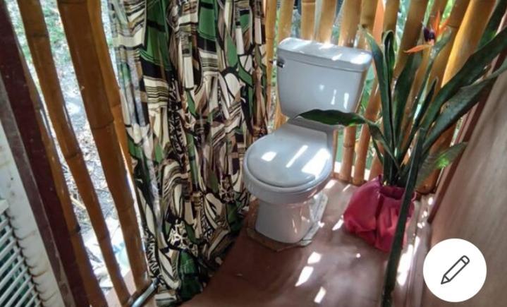 Treehouse Above The Beach Port Antonio Extérieur photo