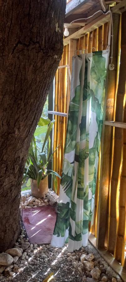 Treehouse Above The Beach Port Antonio Extérieur photo