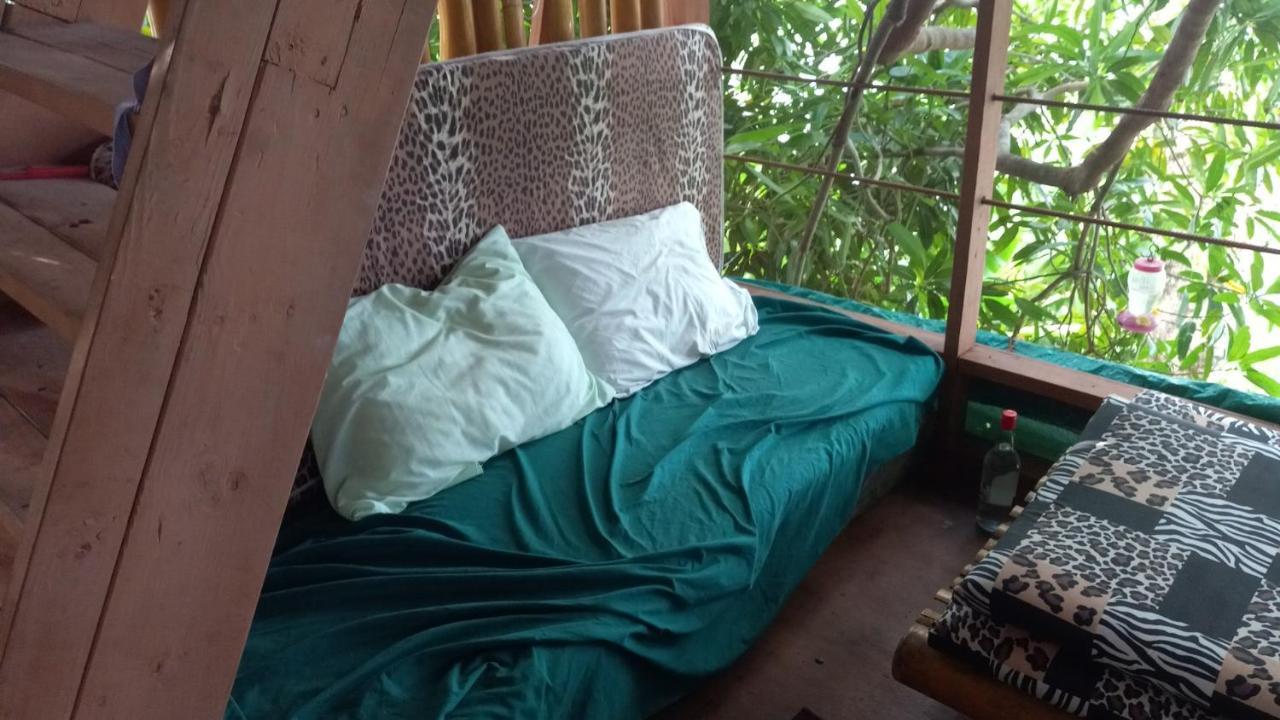 Treehouse Above The Beach Port Antonio Extérieur photo