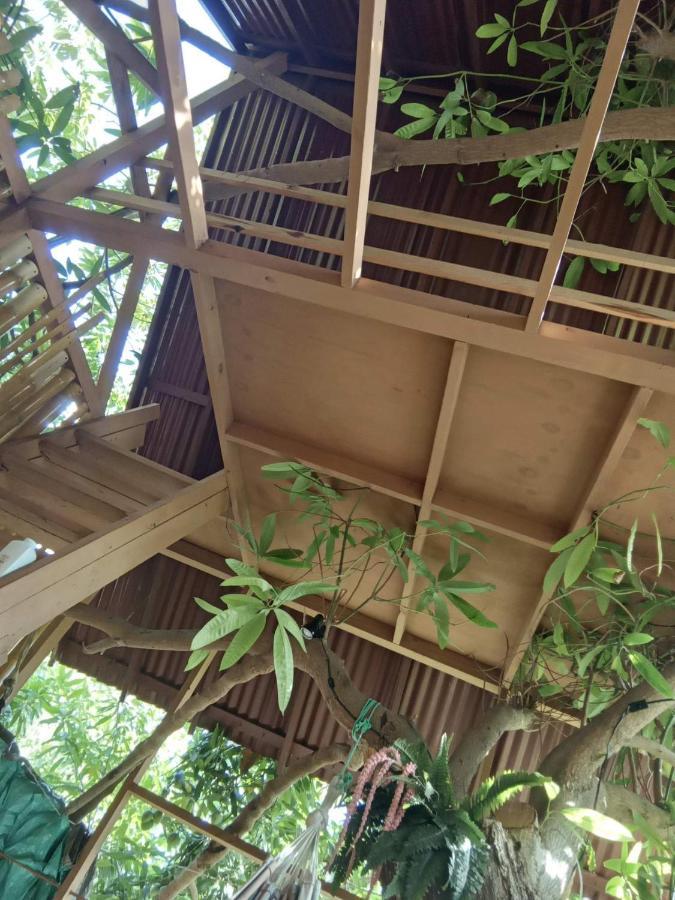 Treehouse Above The Beach Port Antonio Extérieur photo