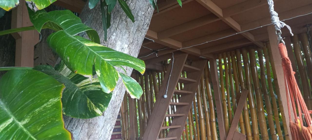 Treehouse Above The Beach Port Antonio Extérieur photo