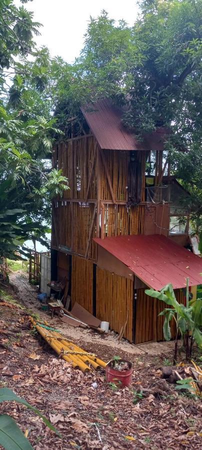 Treehouse Above The Beach Port Antonio Extérieur photo