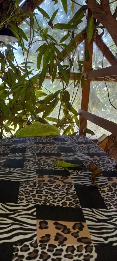 Treehouse Above The Beach Port Antonio Extérieur photo