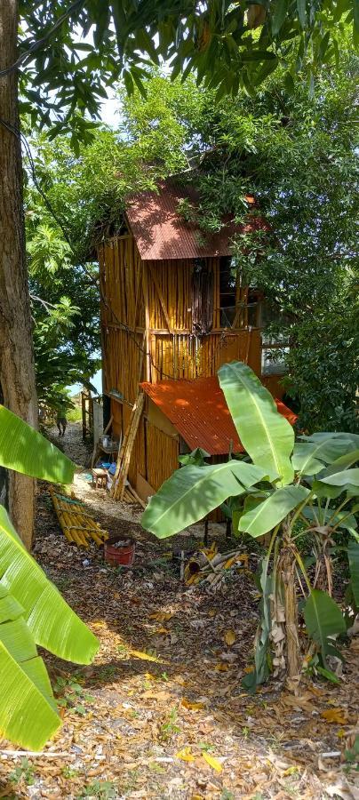 Treehouse Above The Beach Port Antonio Extérieur photo