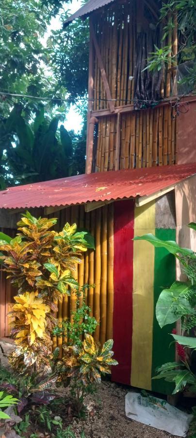 Treehouse Above The Beach Port Antonio Extérieur photo