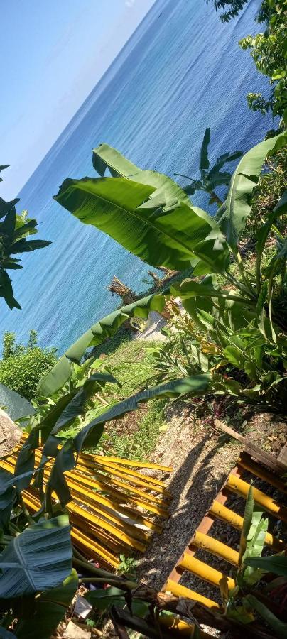 Treehouse Above The Beach Port Antonio Extérieur photo