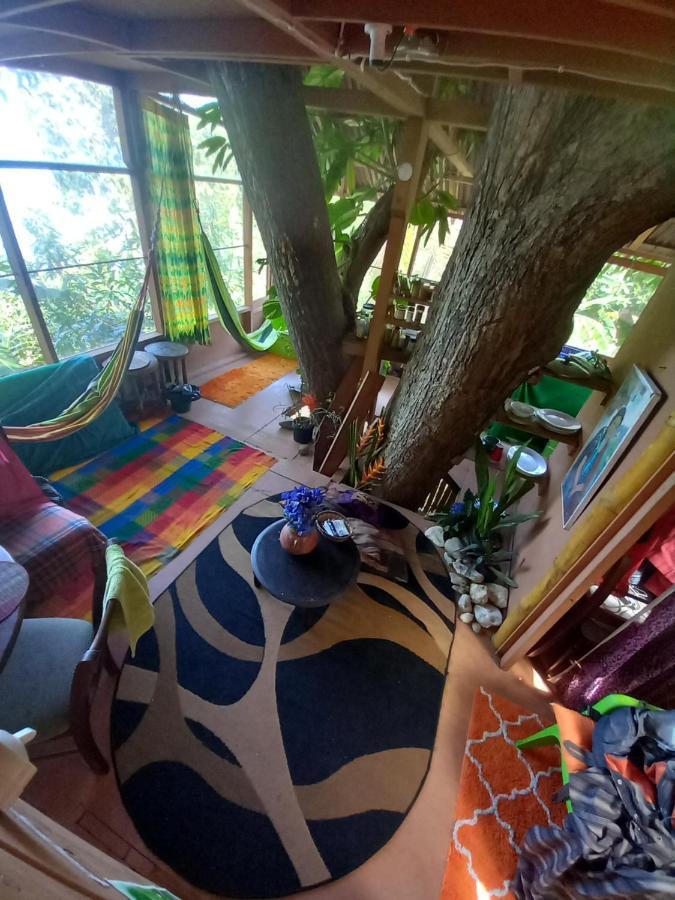 Treehouse Above The Beach Port Antonio Extérieur photo