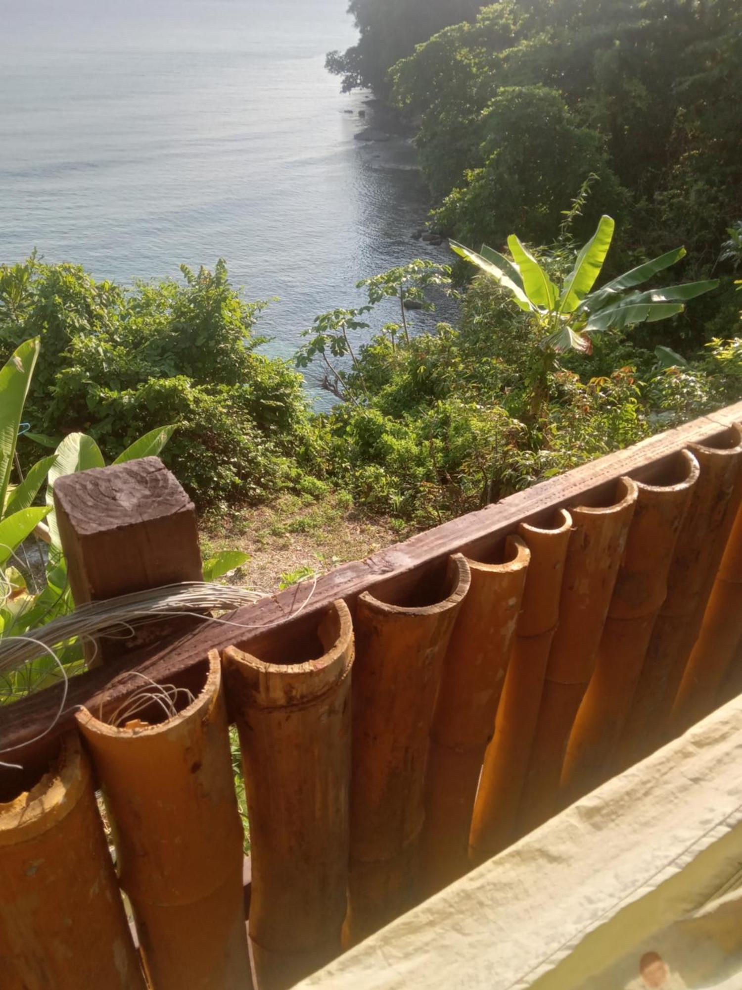 Treehouse Above The Beach Port Antonio Extérieur photo